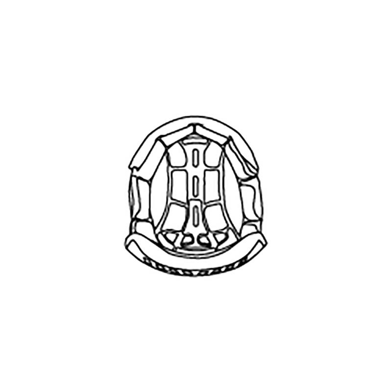 3PW200000206-COMP LIGHT HELMET INTERIOR-image