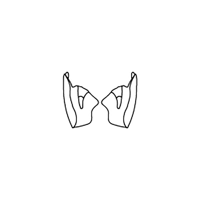 3PW200000905-AVIATOR 2.3 HELMET CHEEK PADS-image