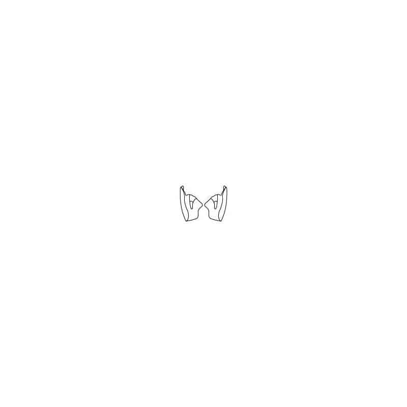 UPW192930016-SE-4 HELMET CHEEKPADS-image